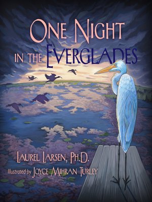 cover image of One Night in the Everglades